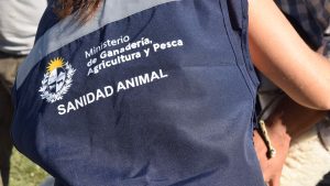 Discurso en jornadas sobre veterinaria cuestionó al INBA y advirtió sobre riesgos en los mercados