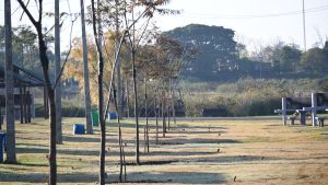 Conmemoración especial en Bella Unión: plantaron 20 ibirapitás por el Día Mundial del Medio Ambiente