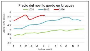 Los precios del ganado gordo retrocedieron por primera vez tras subas durante nueve semanas consecutivas